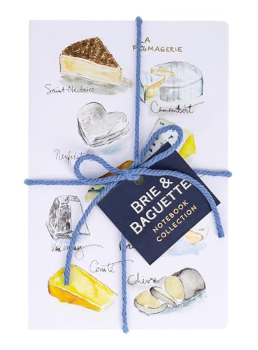 Three notebooks with watercolor cheese illustrations, tied with blue cord.