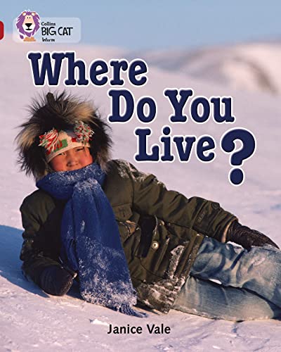 Book cover: child in winter clothing lying in the snow.