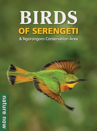 Book cover featuring a colorful bee-eater bird in flight.