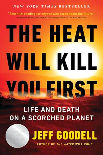 Book cover with a bright sun over a scorched landscape and bold black text.