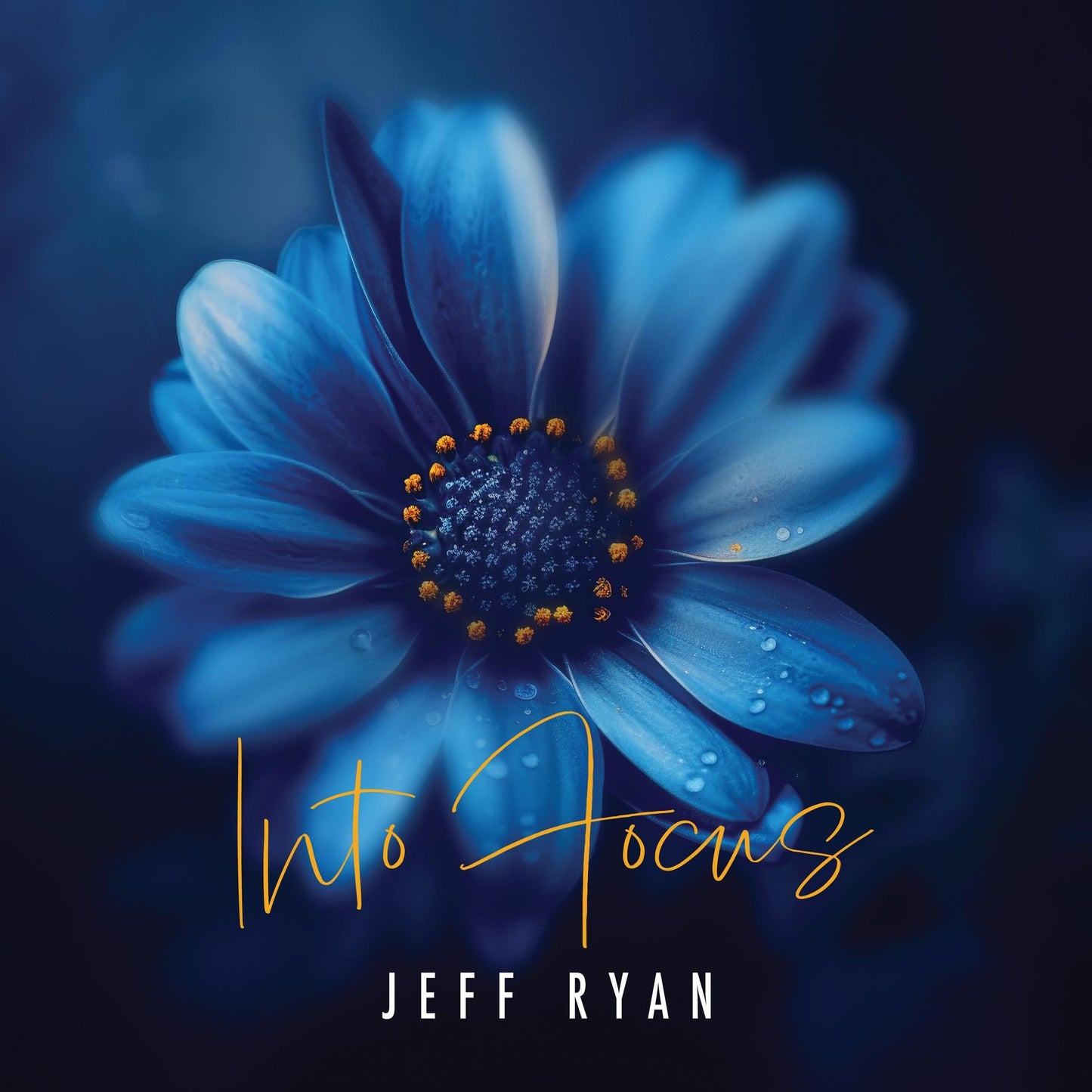 CD cover for "Into Focus" by Jeff Ryan, featuring a blue flower.