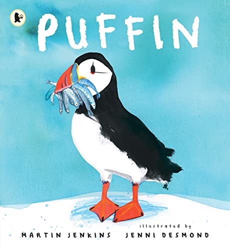 A puffin with fish in its beak stands on ice against a blue background.