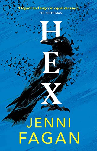 Book cover featuring a large black raven against a blue background with smaller birds.