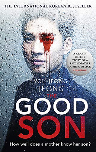 Book cover: boy’s face with blood dripping from his eye, titled “Good Son.”