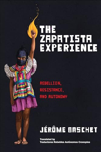 Book cover: masked person raising a fist with a flame, dark background.