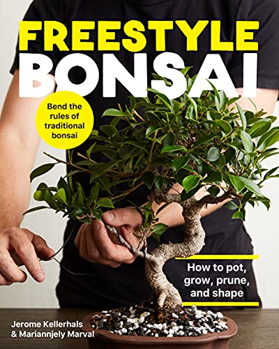 BookCCLSBook cover for Freestyle Bonsai featuring a person holding a potted bonsai tree.
