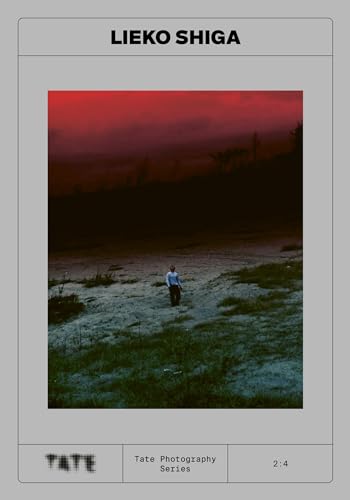 Book cover featuring a lone figure in a marsh under a red sky.