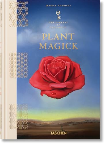 Book cover featuring a large red rose floating above a landscape against blue sky.