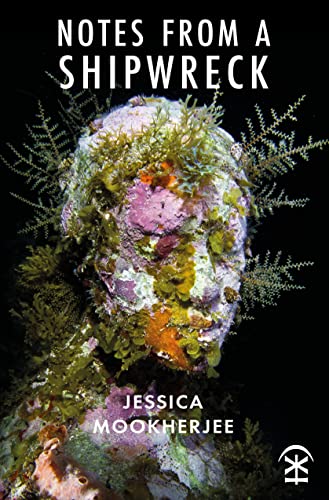 Book cover: a sculpted head covered in coral and marine life.