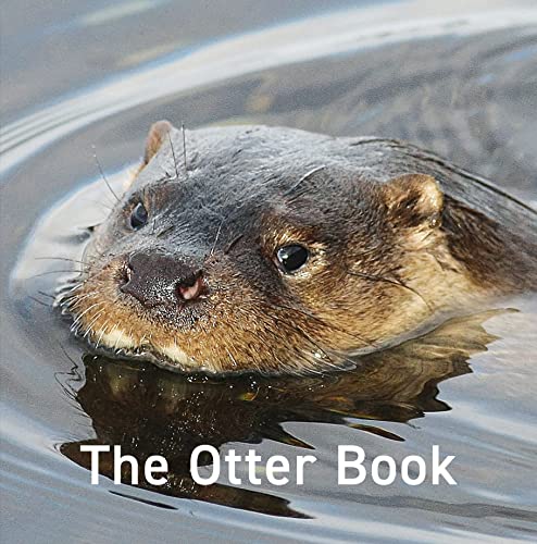 Close-up of an otter swimming in water with the text The Otter Book below.