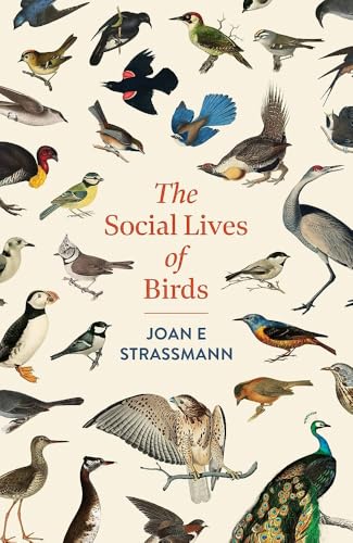 Book cover featuring diverse illustrated birds and the title “The Social Lives of Birds.”