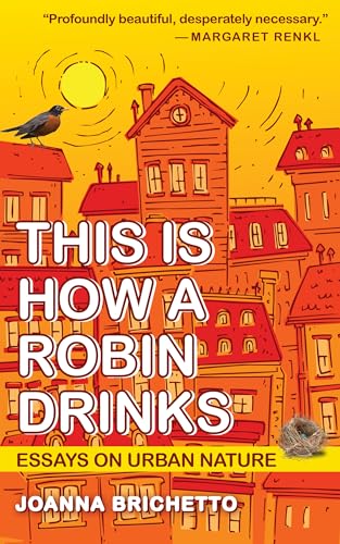 Book cover: robin on rooftops over orange illustrated cityscape.