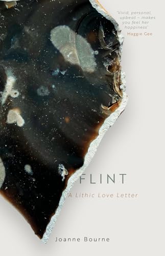 Book cover showing a dark, textured flint stone fragment against a light grey background.