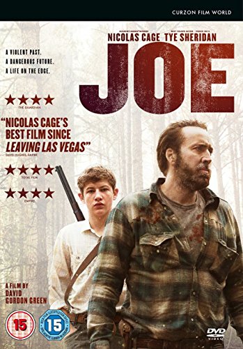 DVD cover for the film Joe featuring Nicolas Cage and Tye Sheridan in woods.