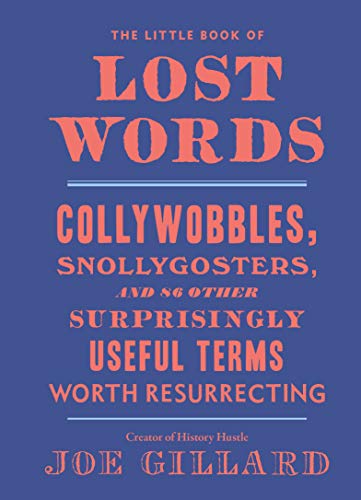 Book cover with red text on a blue background, titled “The Little Book of Lost Words.”