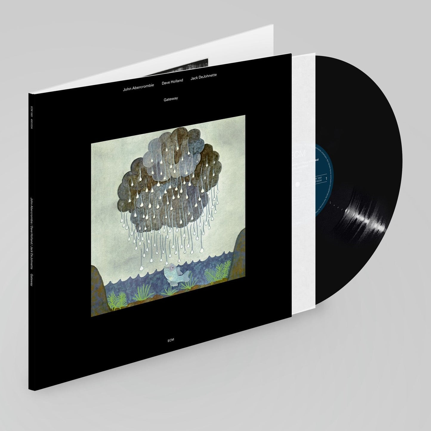 Vinyl record and black cover featuring an illustration of a raining cloud.