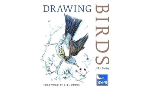 Book cover titled Drawing Birds featuring a watercolor illustration of a bird on branches.