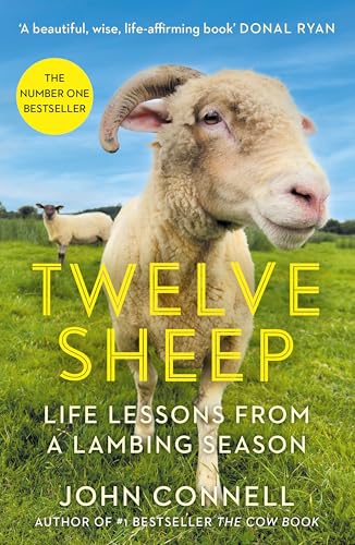 Book cover featuring a close-up of a sheep’s face in a green field.