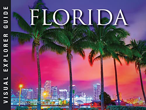 Florida travel guide cover with palm trees and a city skyline.