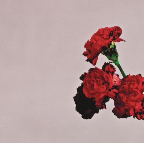 CD cover featuring a close-up of vibrant red carnation flowers.