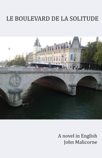 Book cover with a stone bridge over dark water and buildings.