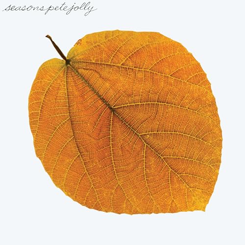 Close-up of a golden autumn leaf against a white background.