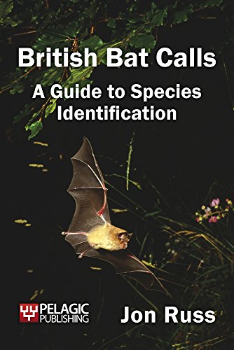 Book cover featuring a bat in flight with text: “British Bat Calls.”