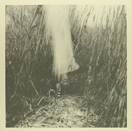 Blurred figure in tall grass, album cover for "Piper" vinyl.