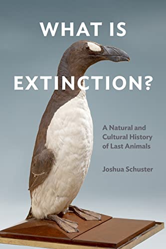 Book cover featuring a taxidermied Great Auk with the title "What Is Extinction?".