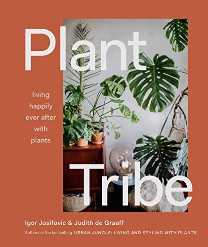 Book cover with large text, monstera leaves, and a wooden cabinet.