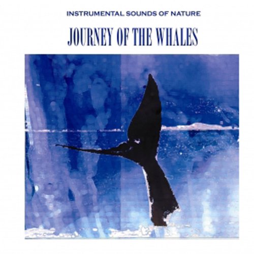 CD cover: whale tail breaching blue water, text reads “Journey of the Whales”.