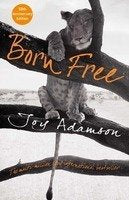 A lion cub rests on a tree branch in this book cover image.