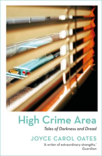 Book cover: blurred car seen through building window bars, dark tones.