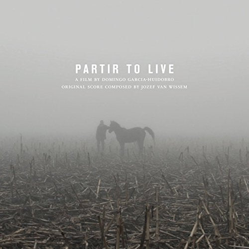 Foggy field with a person and horse silhouetted in the distance.