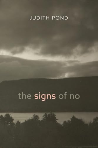 Book cover with dark, cloudy landscape and title "the signs of no".