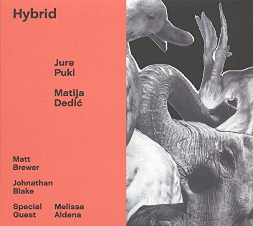 CD cover for "Hybrid" by Jure Pukl & Matija Dedic, featuring animal imagery.