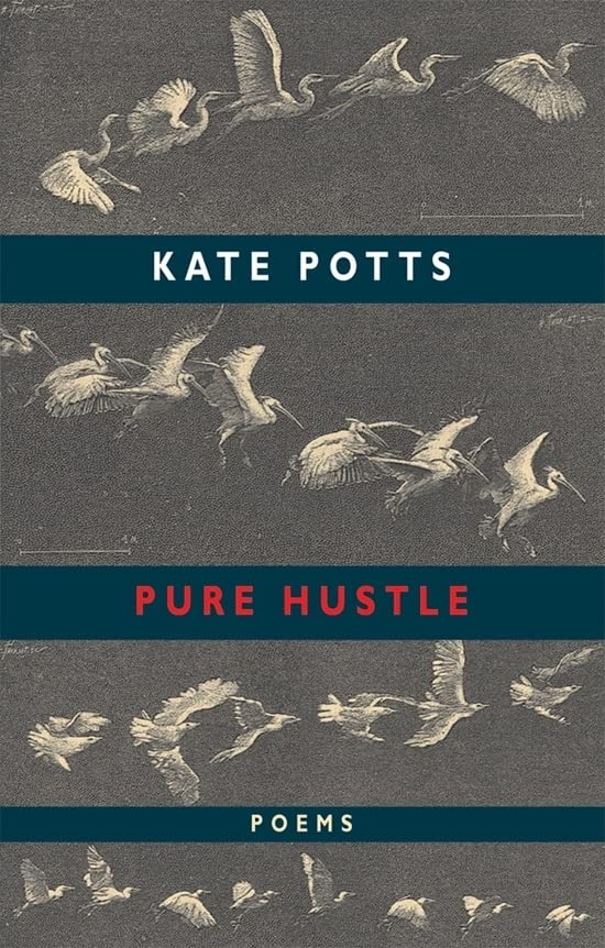 Book cover for Pure Hustle by Kate Potts featuring sketches of flying birds.