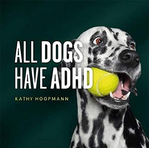 A dalmatian dog holding a yellow tennis ball in its mouth against dark background.