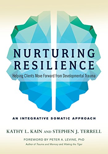 Book cover with a blue geometric brain shape and white title text.