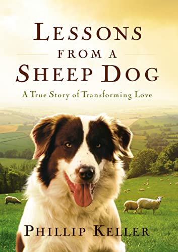 Book cover featuring a Border Collie’s face against a pastoral landscape.