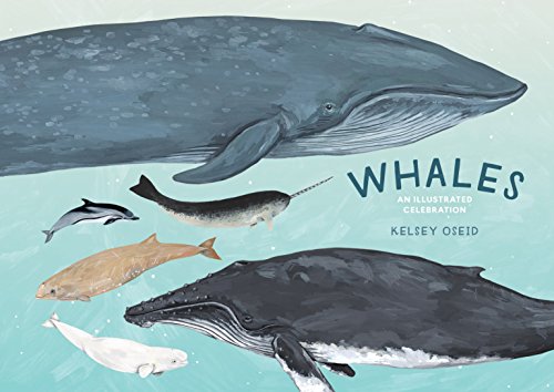 Book cover featuring illustrated whales, dolphins, and narwhal in blue tones.