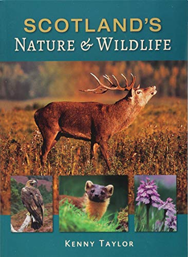 Book cover featuring a red deer, hawk, pine marten, and orchids.