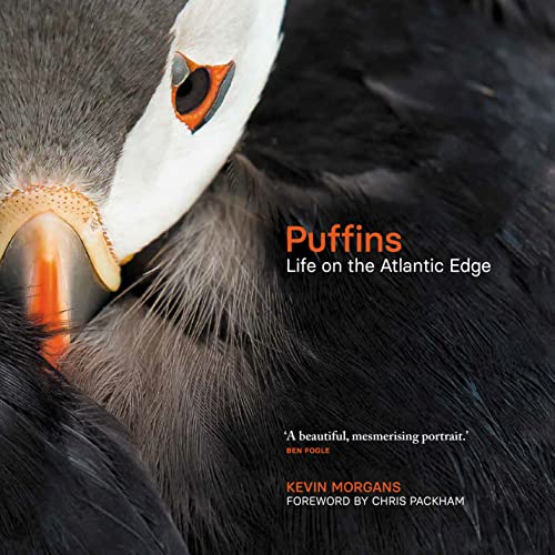 Close-up of a puffin’s colorful beak and eye, book cover titled “Puffins.”