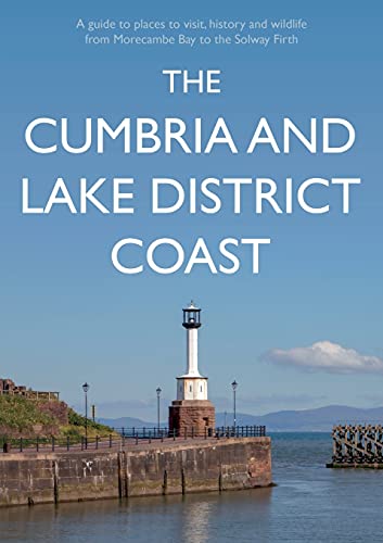 Book cover featuring a coastal lighthouse against a blue sky.
