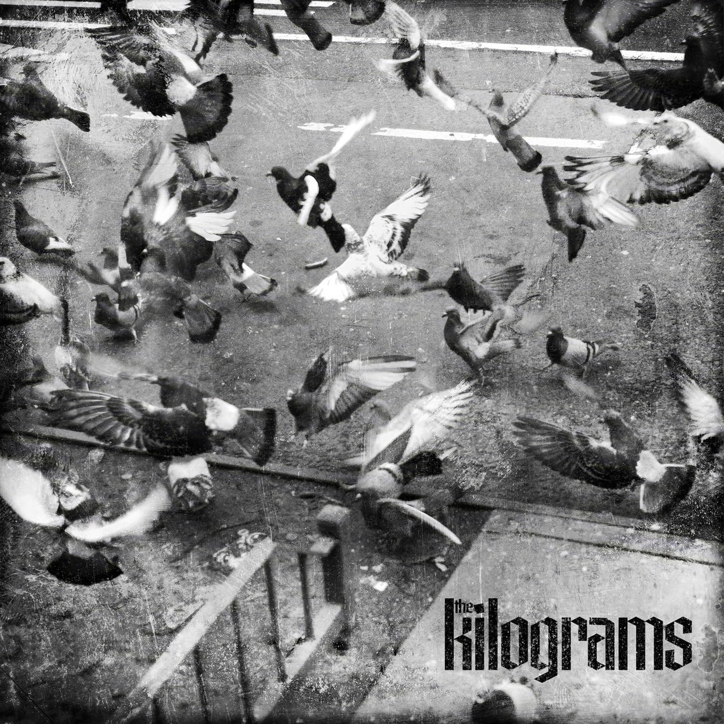 Black and white image of many pigeons flying over a street with band text.