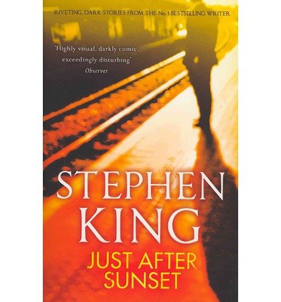 Book cover with a silhouette standing on train tracks in a golden sunset.