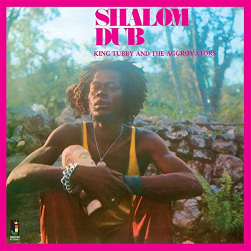 Album cover featuring a man with dreadlocks holding a sculpture in a wooded area.