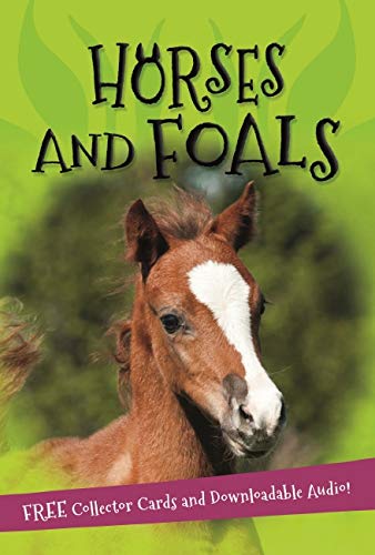 Book cover featuring a brown and white foal with the title "Horses and Foals".