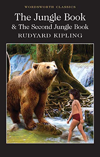 Book cover showing a bear and a young boy in a jungle waterfall setting.