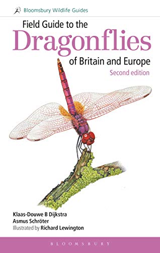 Book cover featuring a detailed watercolor illustration of a dragonfly.